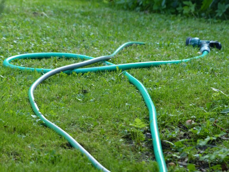 Garden Hose 101: Mastering the Art of Watering with Expert Tips